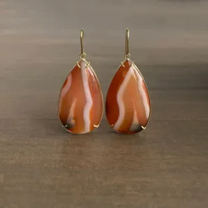 Banded Figured Carnelian Earrings