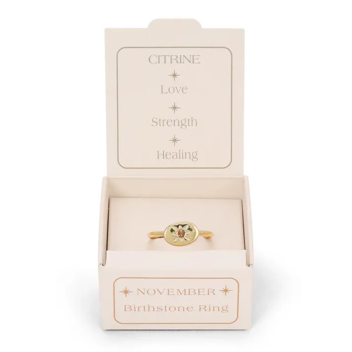 Birthstone Signet Rings