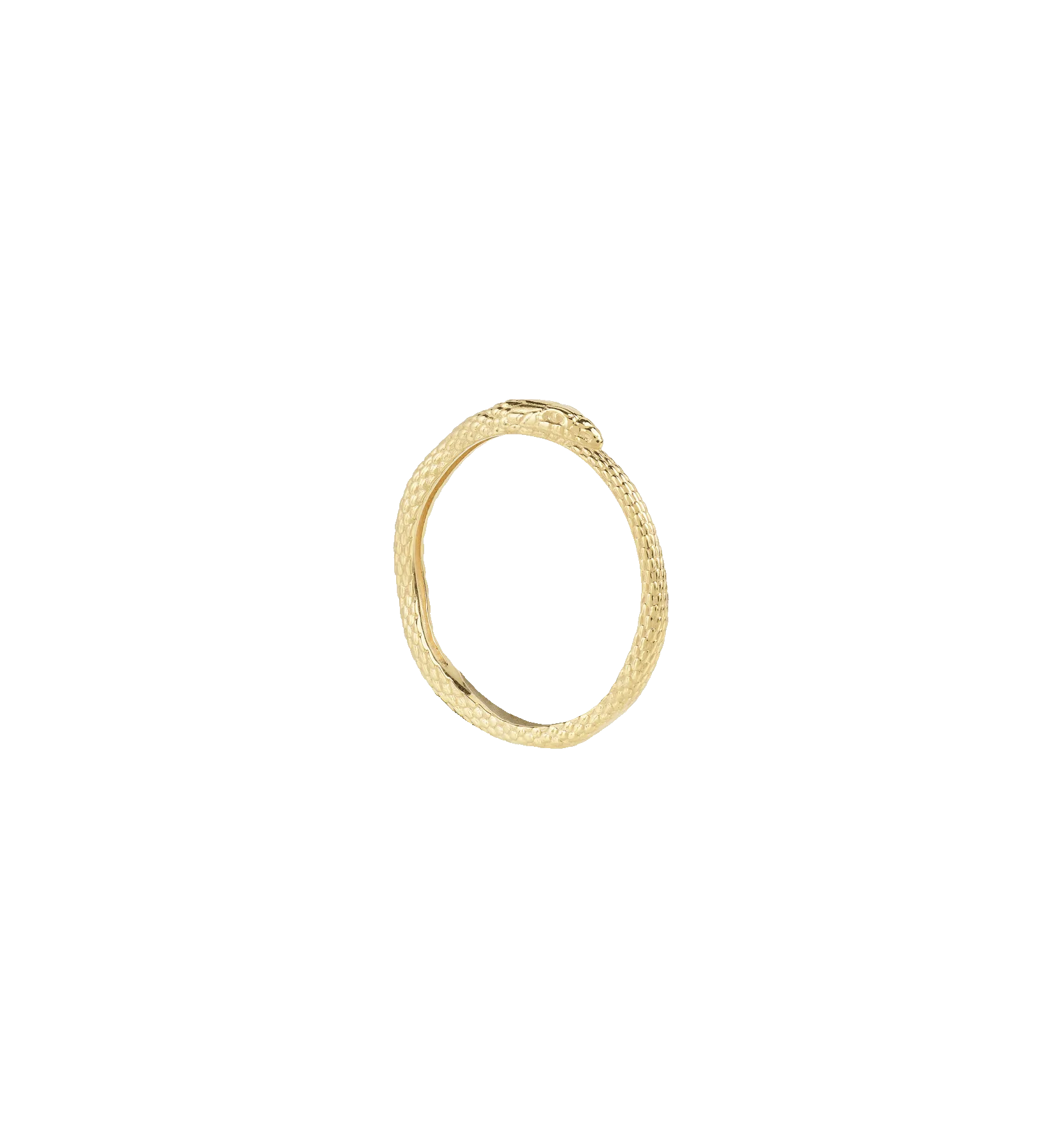 Charmed Serpent Ring 14K