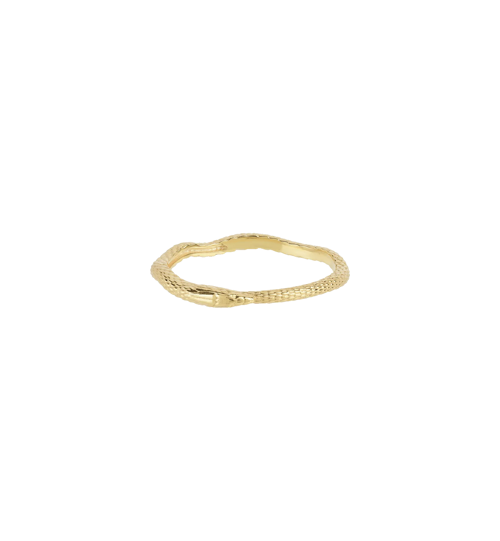 Charmed Serpent Ring 14K