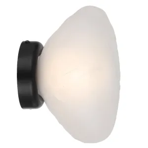 Zeeca Black with Frost Textured Glass Contemporary Wall Light